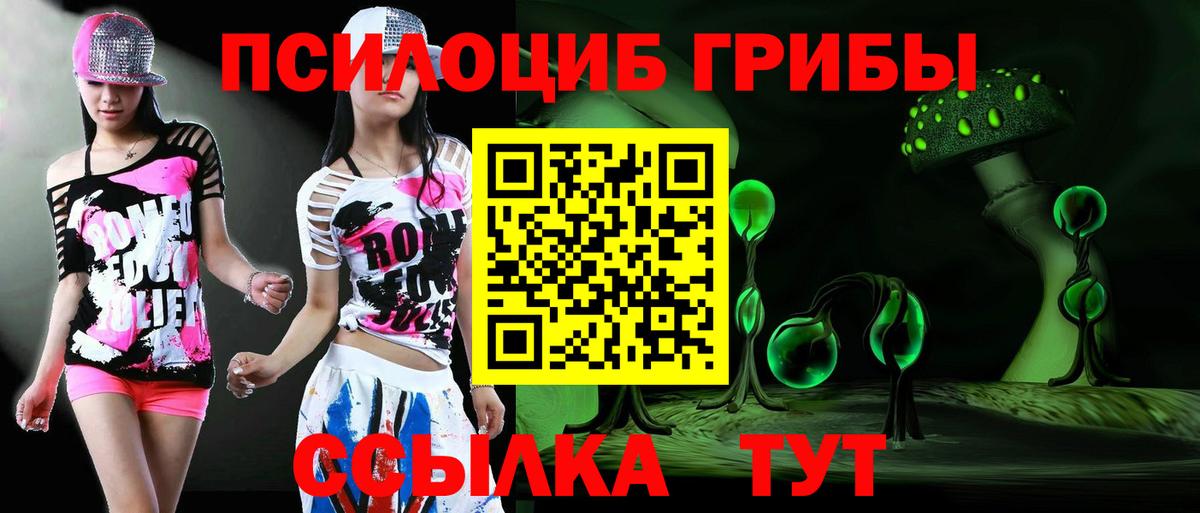 Наро-Фоминск  Псилоцибиновые грибы мухоморы  Вход с VPN 